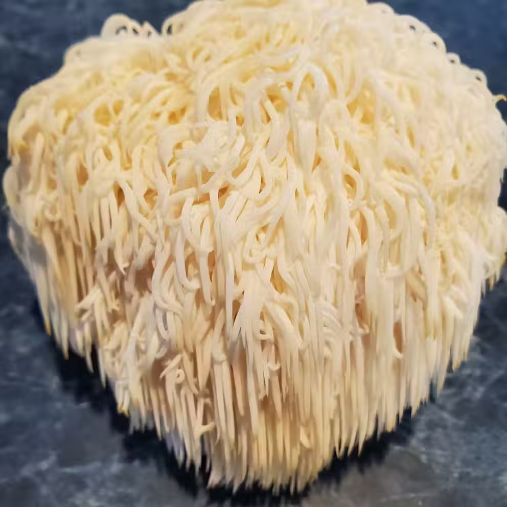 Fresh Lion's Mane Mushroom
