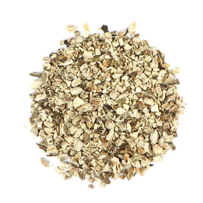 Burdock Root: Arctium Lappa