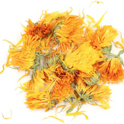 Calendula Flower : Calendula officinalis