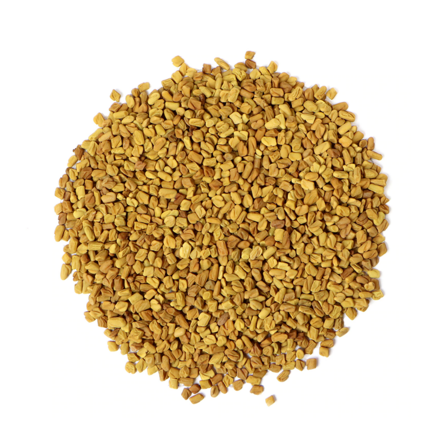 Fenugreek : Trigonella Foenum-graecum