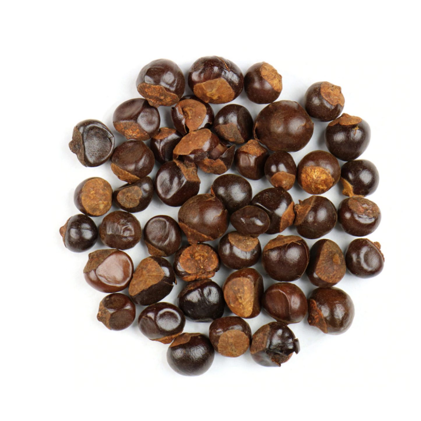 Guarana : Paullinia Cupana