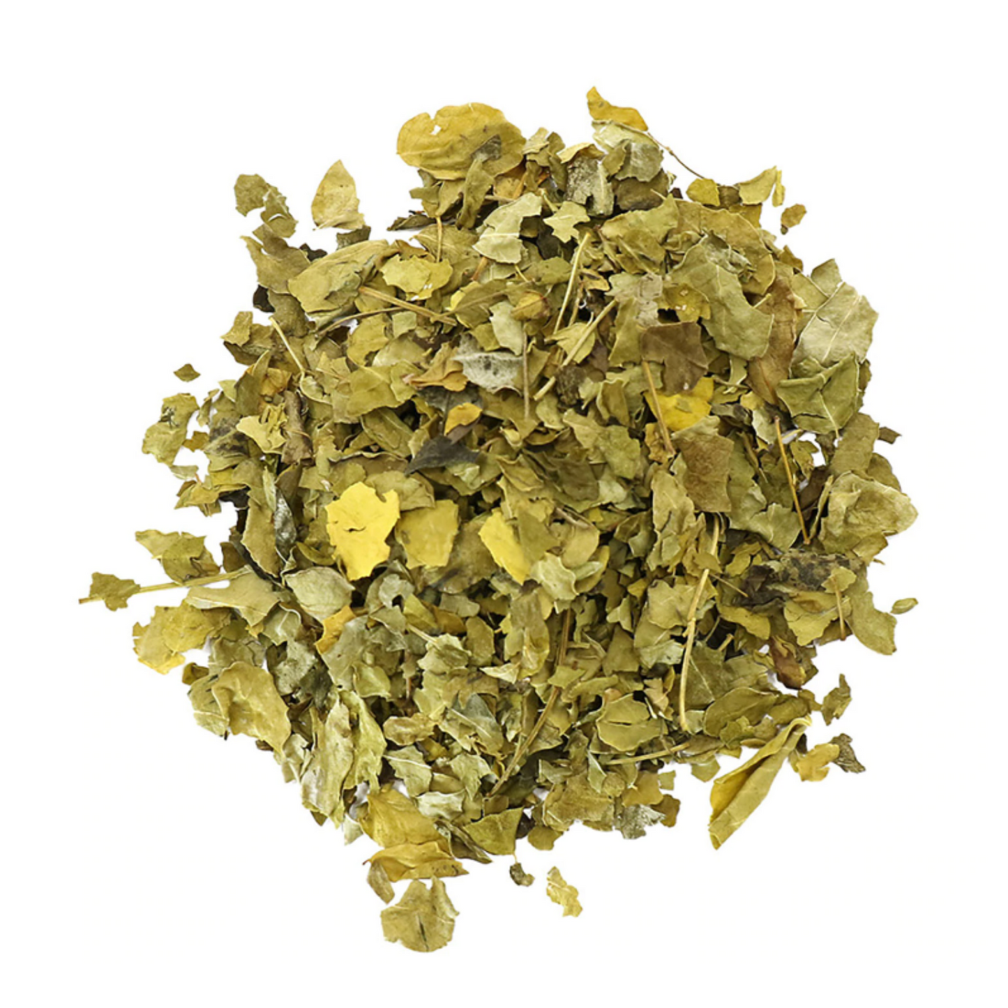 Moringa Leaf : Moringa Oleifera