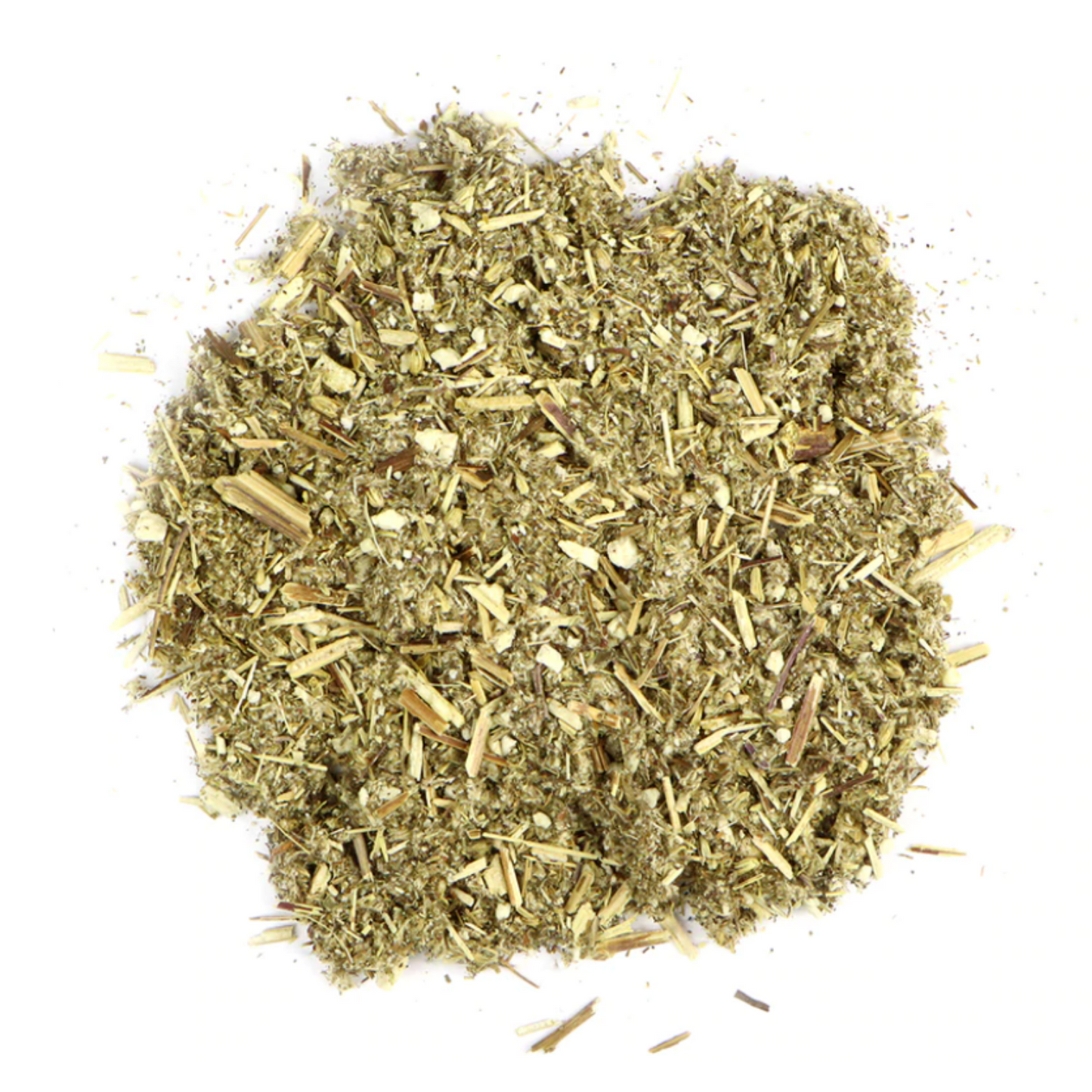 Mugwort : Artemisia Vulgaris