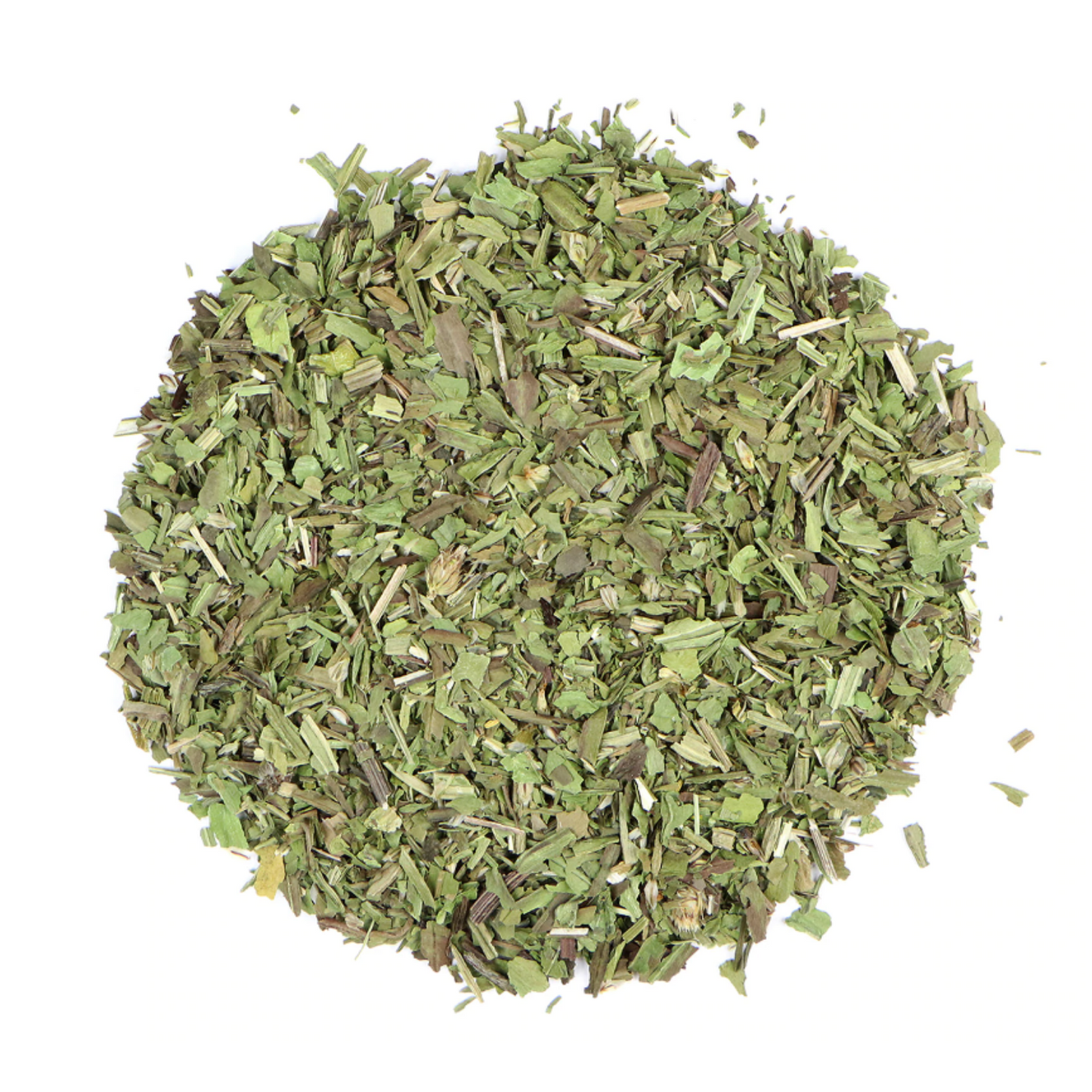 Plantain Leaf : Plantago Lanceolata