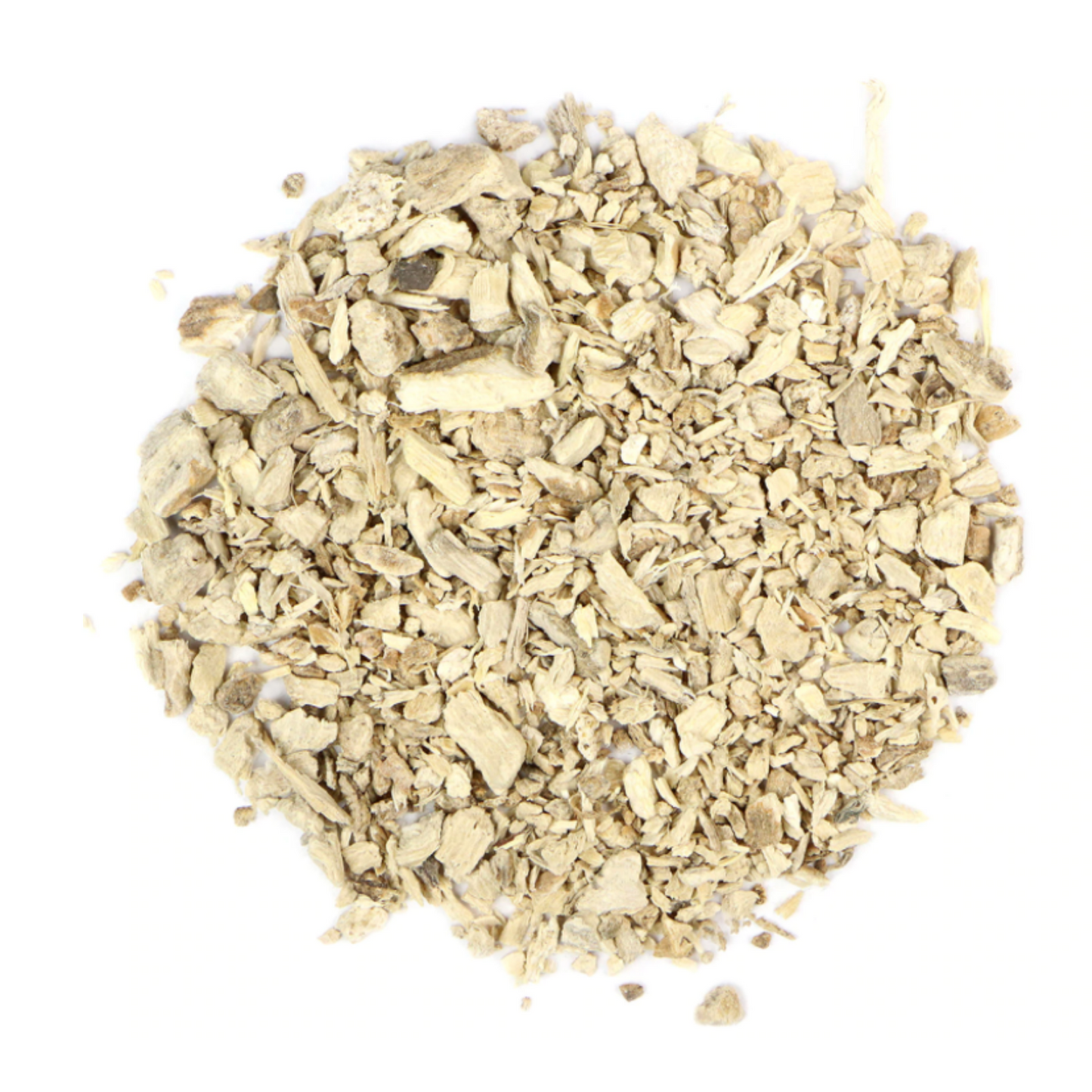 Pleurisy Root : Asclepias Tuberosa