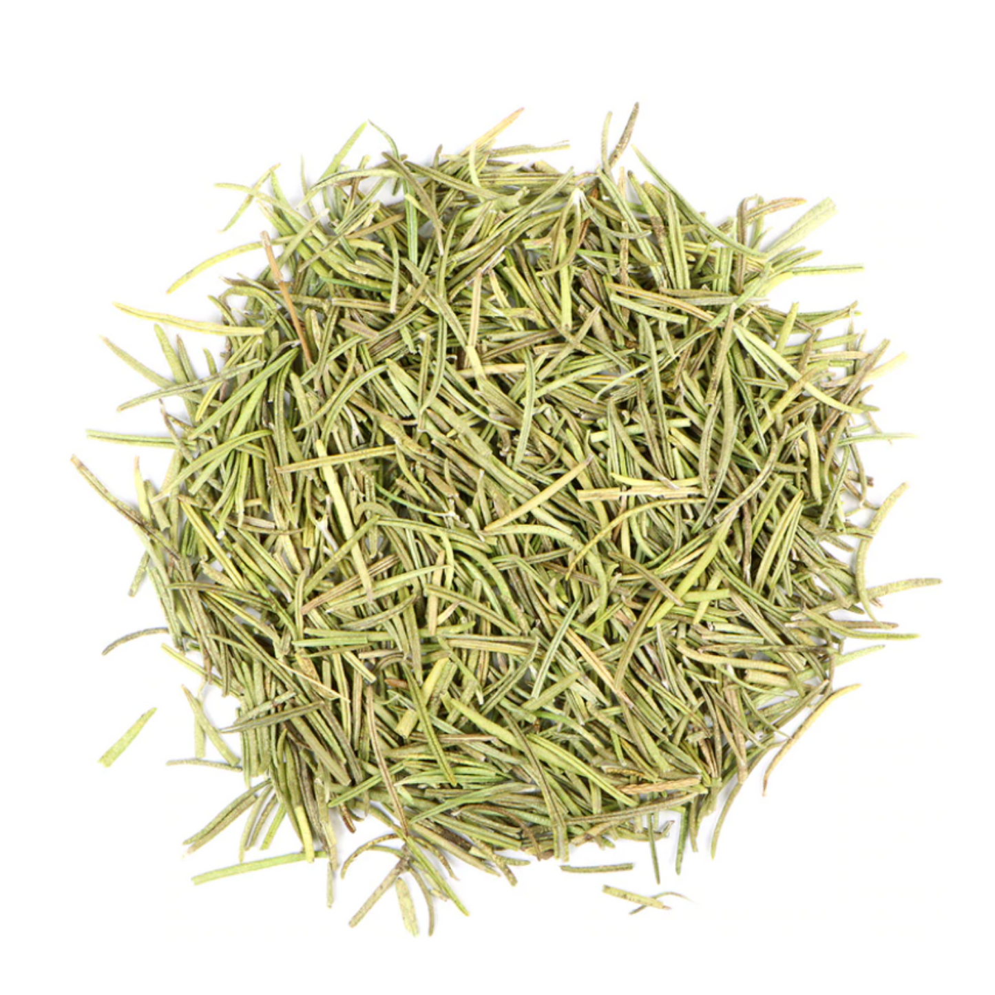 Rosemary Leaf : Rosmarinus Officinalis