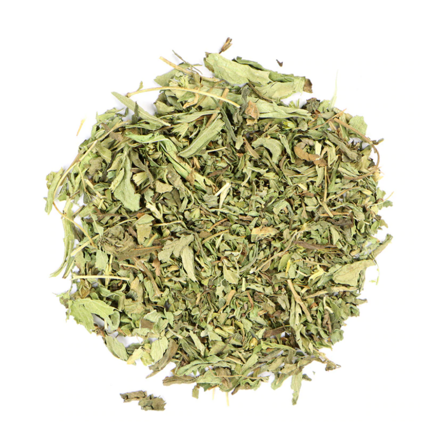 Stevia : Stevia Rebaudiana