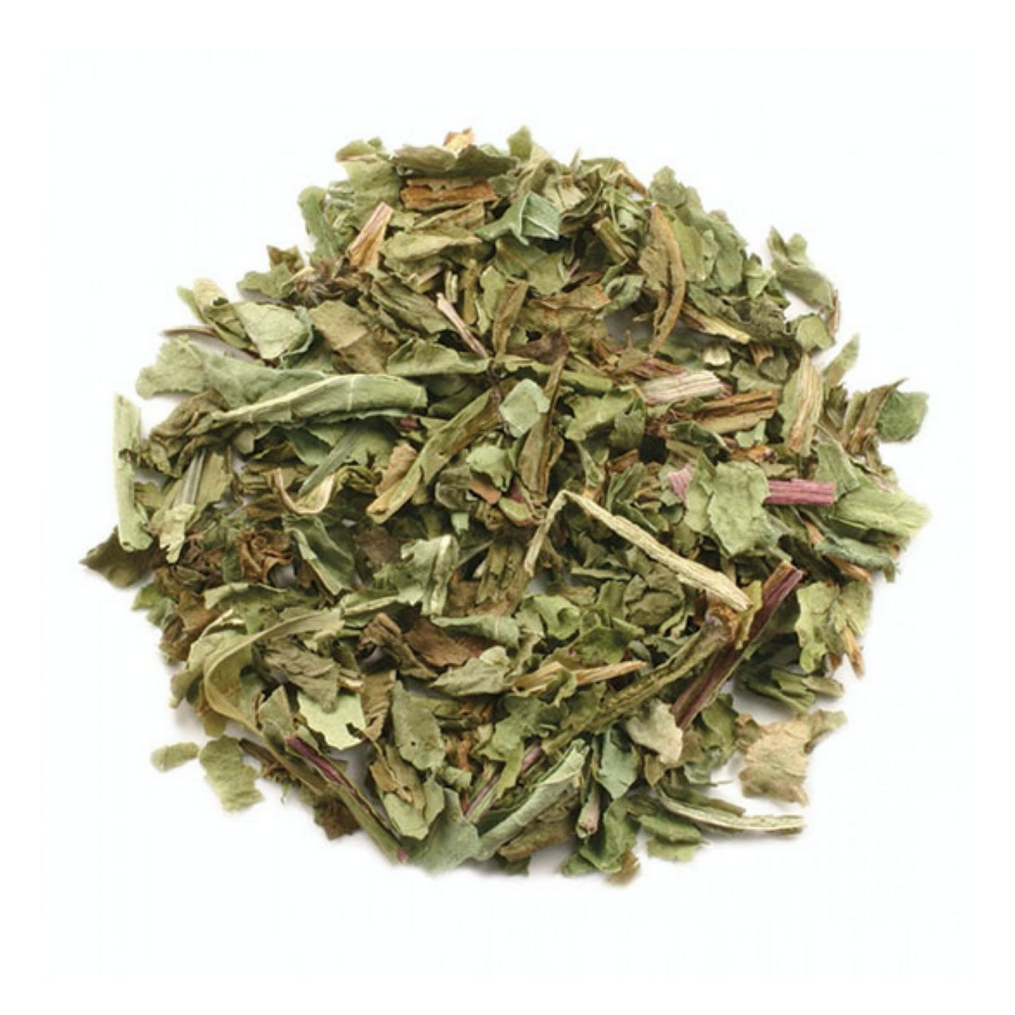 Dandelion Leaf : Taraxacum Officinale