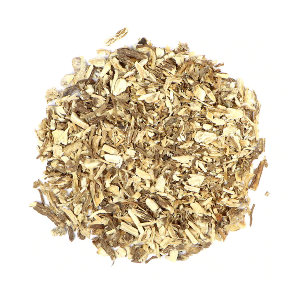 Angelica Root: Angelica Archangelica
