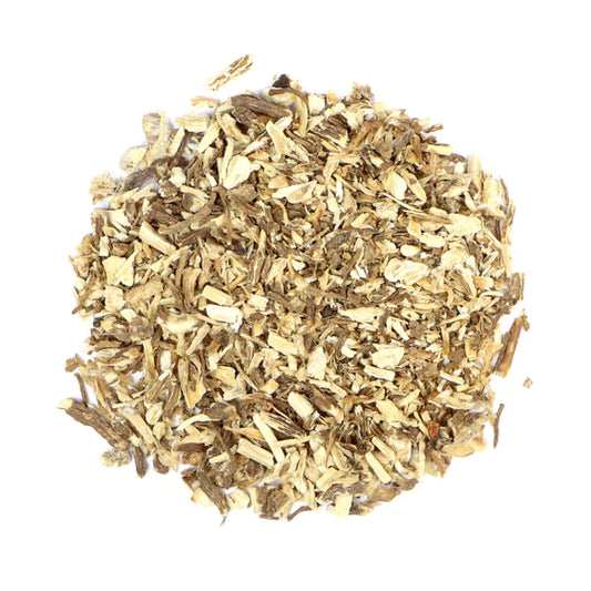 Angelica Root: Angelica Archangelica