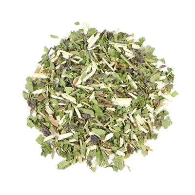 Blue Vervain : Verbena Hastata