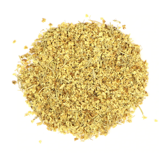 Elderflower : Sambucus nigra