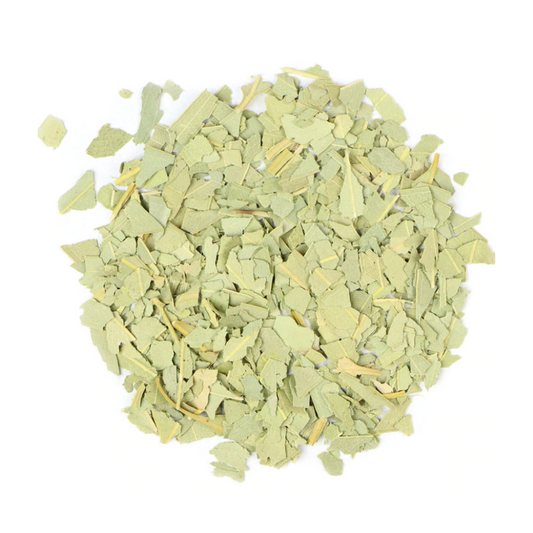 Eucalyptus : Eucalyptus globulus