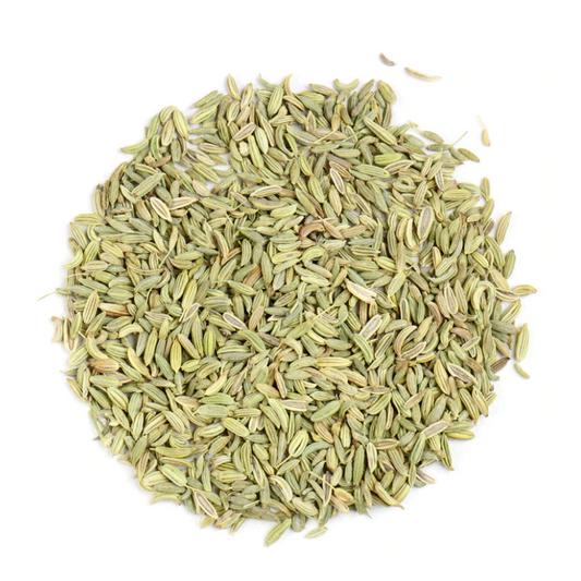 Fennel : Foeniculum Vulgare