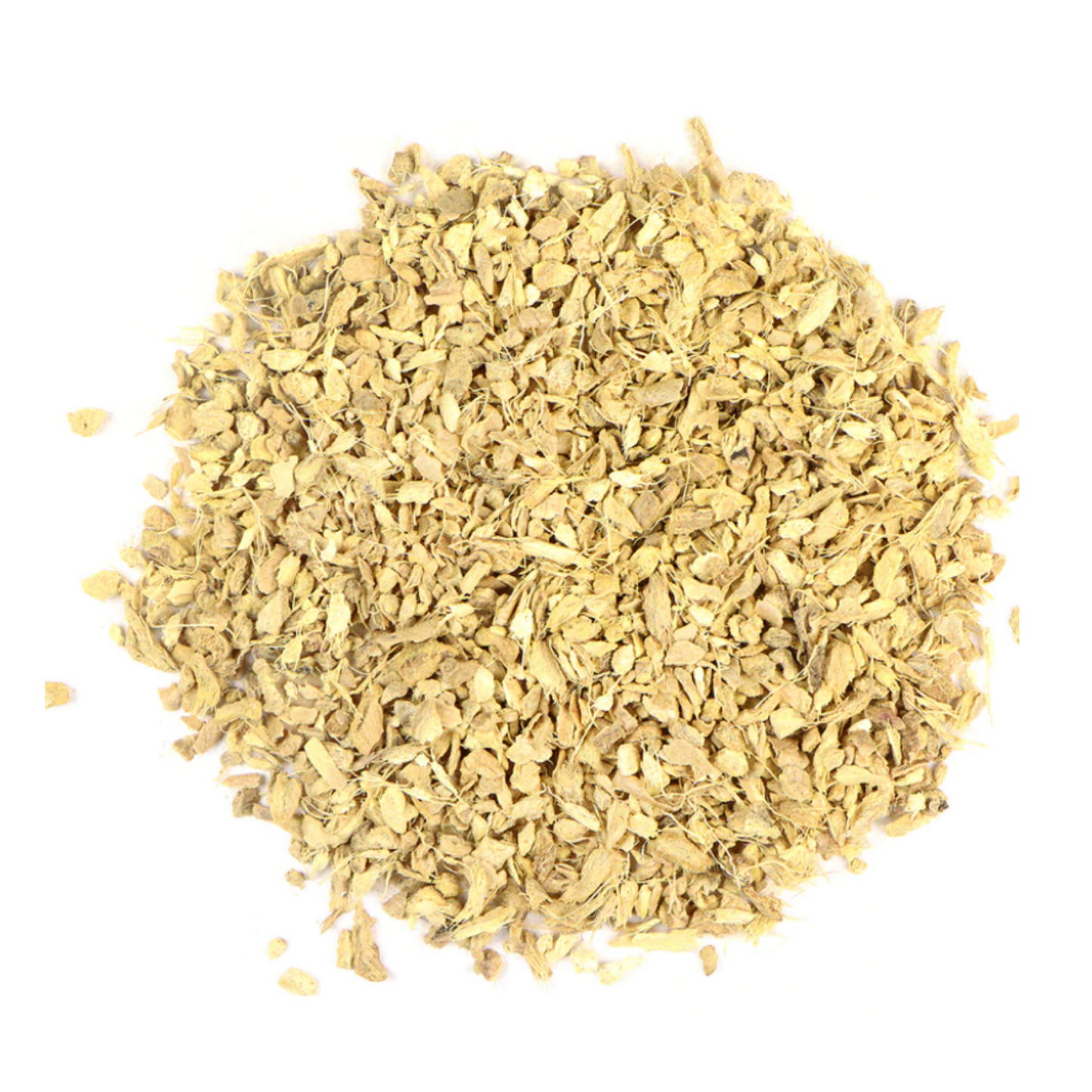 Ginger : Zingiber Officinale