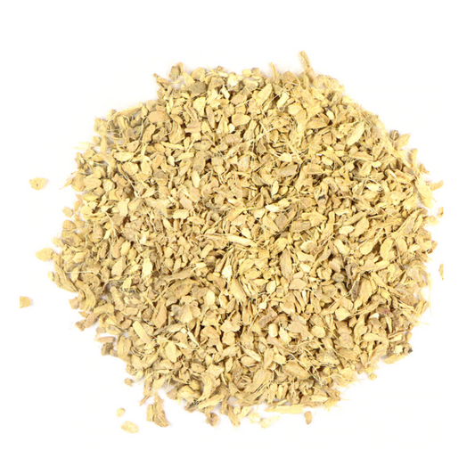 Ginger : Zingiber Officinale