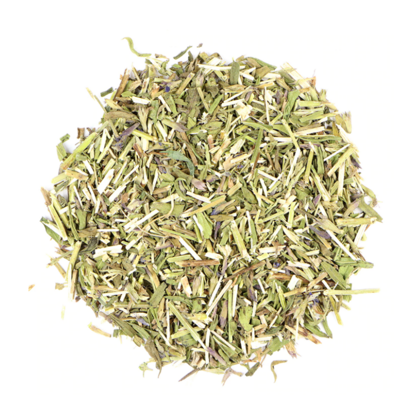 Hyssop : Hyssopus Officinalis