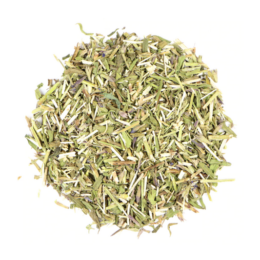 Hyssop : Hyssopus Officinalis
