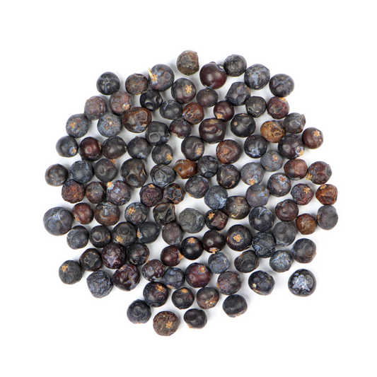Juniper : Juniperus Communis