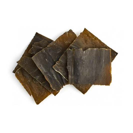 Kelp : Saccharina Latissima