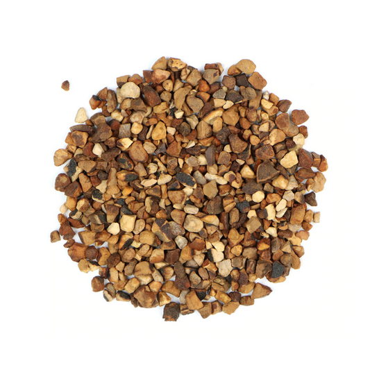 Kola Nut :  Cola Nitida