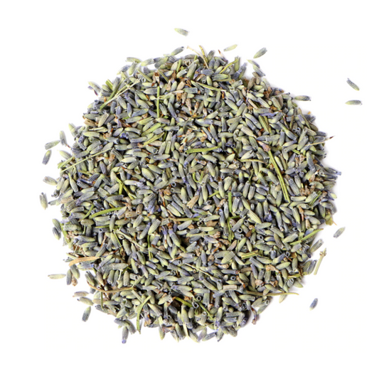 Lavender : Lavandula Angustifolia