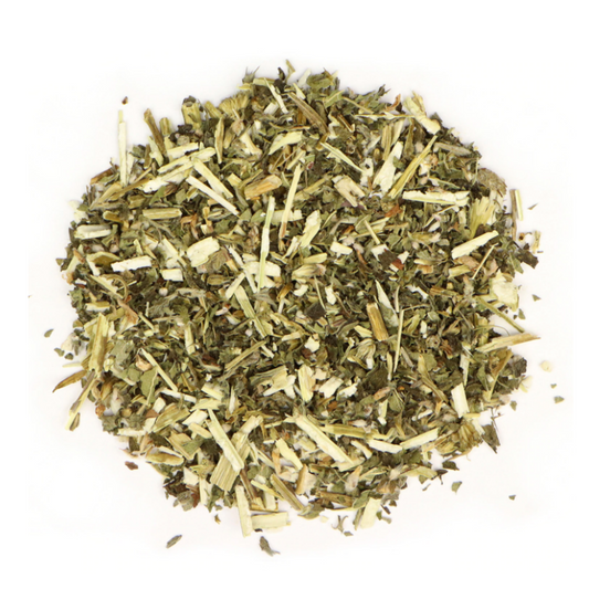 Motherwort : Leonurus Cardiaca