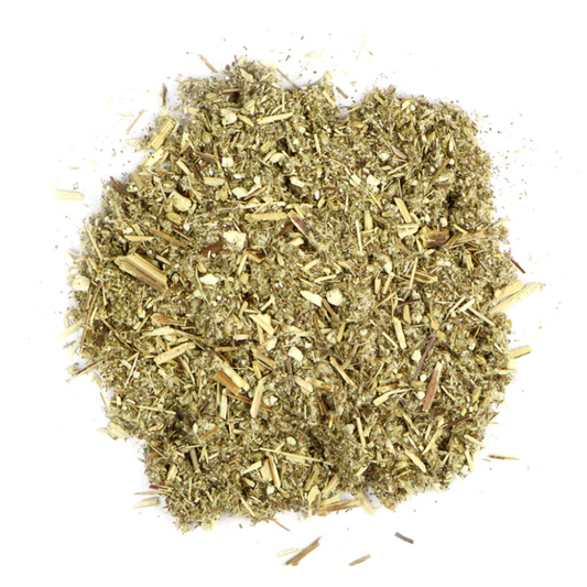 Mugwort : Artemisia Vulgaris