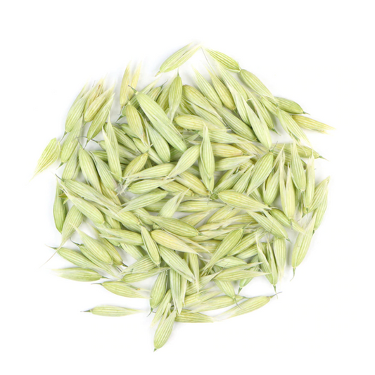 Oat Tops :  Avena Sativa