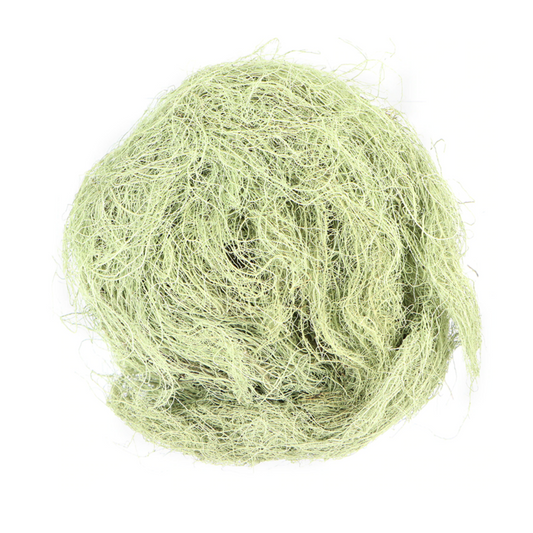 Usnea : Usnea Spp.