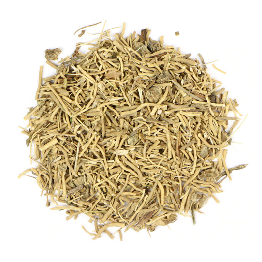 Valerian : Valeriana Officinalis