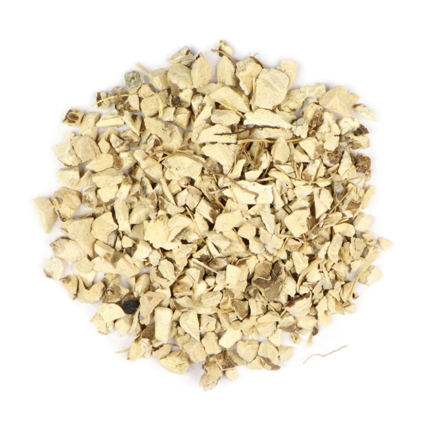 Wild Yam : Dioscorea Villosa