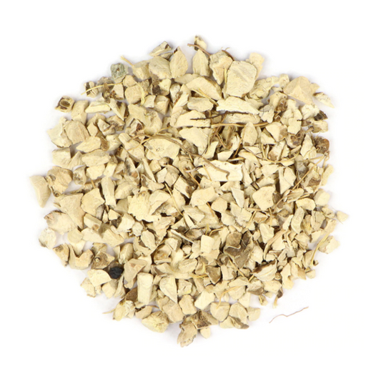 Wild Yam : Dioscorea Villosa