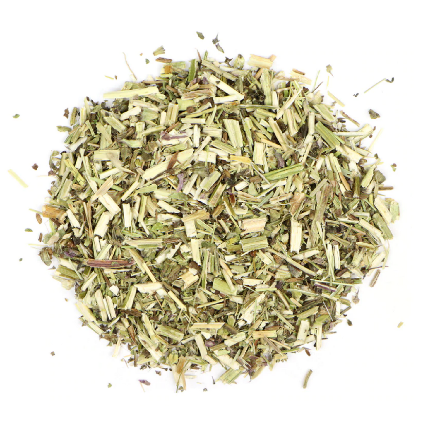 Wood Betony : Stachys Officinalis