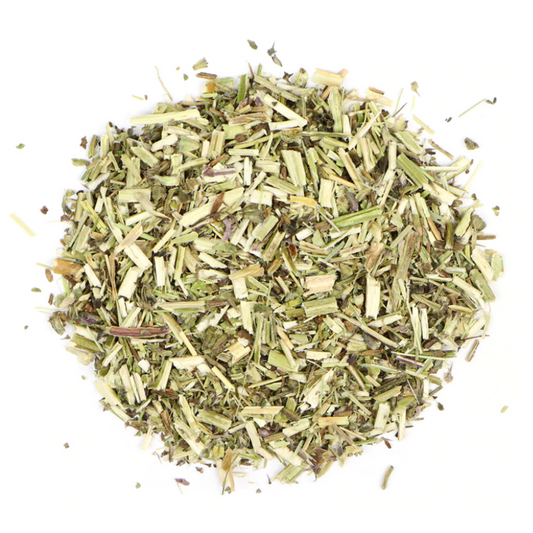 Wood Betony : Stachys Officinalis