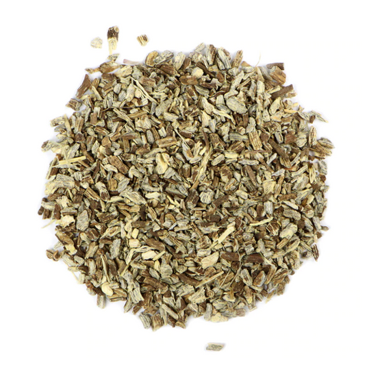 Echinacea : Echinacea Angustifolia