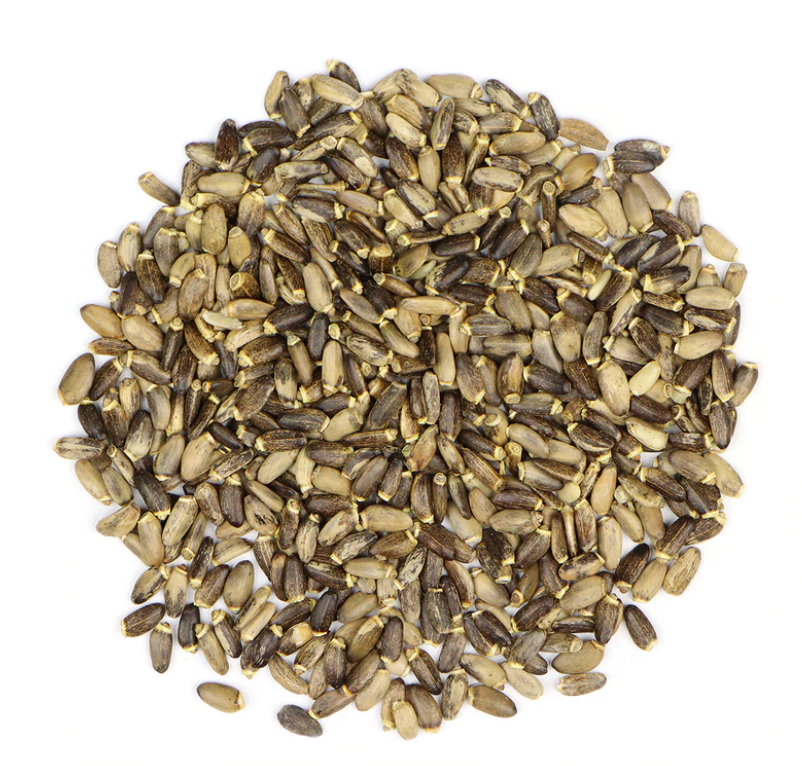 Milk Thistle Seed : Silybum Marianum